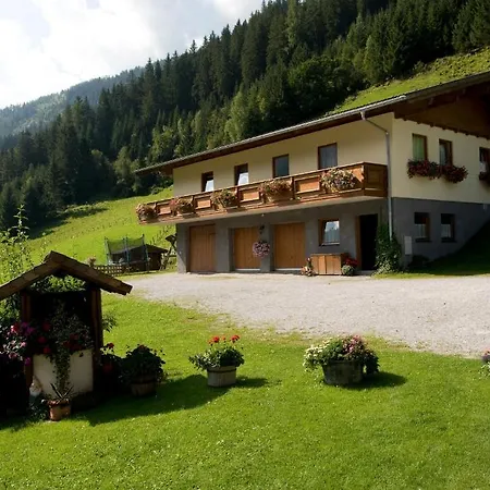 Bauernhof Oberneureit * Hüttschlag